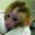 Guillem_21#