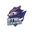 BTW Gaming