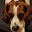 🐶Buddyy🐶 (was deleted at: 2020-11-15T22:43:33.3978217Z)
