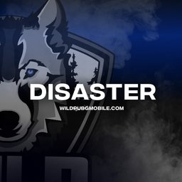wildDISASTER