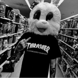 luck te aposenta#tosco