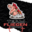 Team Fliegen