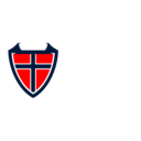 Norwegian Esports League