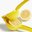 Lemon Squeezers