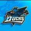 Brazilian Ducks