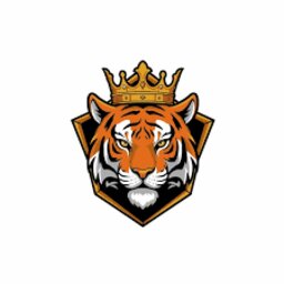 Mumbai Tiger kings