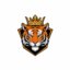 Mumbai Tiger kings