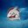 SHARKS-SERBIA
