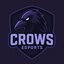 Crows Brasil (was deleted at: 2026-02-21T21:43:28.5854197Z)