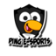 PING E-sports