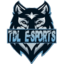 TDL E-SPORTS