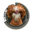 GallinaPadovana