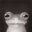 Frog slave #5