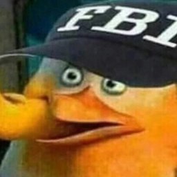 lilbeaver_