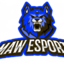 Maw Esports