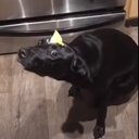 make new friends and u cants be judged 4 what you say