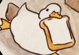 PATINHO777