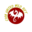Copa_United