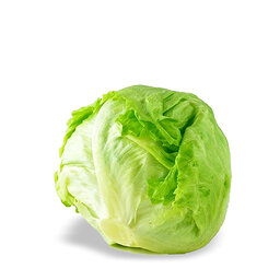 Lettucee