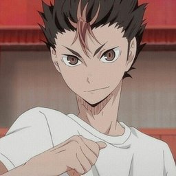 Niedinoya