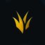 TeamSoloJNG
