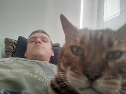 CatMad