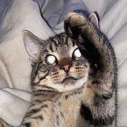 Techie