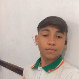 Bibilzx4