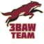 3baw_Team