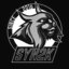 Syn2k