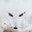 randomi123 (was deleted at: 2020-04-20T15:05:11.2149395Z)