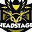 Head Stage (was deleted at: 2019-09-13T12:29:29.9240714Z)