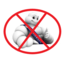 inteMichelin
