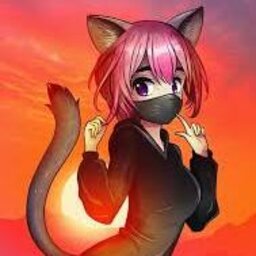 xersal