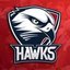 The Hawks