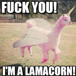 FreeUnicorn