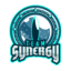 synergygaming_de