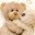 TEDDIES
