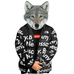 DVN + Kyokai | Night Wolf 7