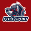 FTH E-SPORTS