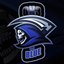 ON3 Revenge Esport Blue Team (was deleted at: 2018-11-25T18:05:01.9882008Z)