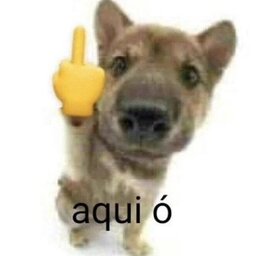 LAGARTIXA FRITA#9916