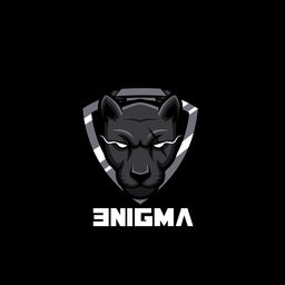 3nigma