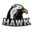 Hawk Elite