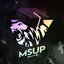 MSUP Academy
