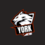 YORKgg (was deleted at: 2024-02-01T03:38:51.4529403Z)