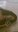 annysv