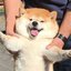 .doge