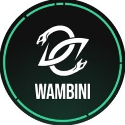 wambini | Elli