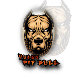 ?VLG?PITBULL